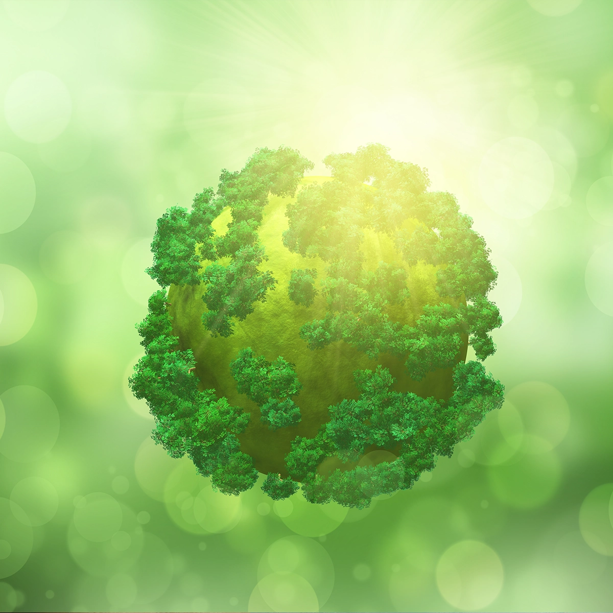 Ökologischer Fußabdruck